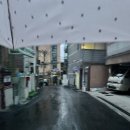 돌보목장 네이버블로그