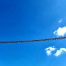 출렁다리(4) 이미지