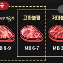 맛짱푸드 이미지