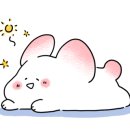 레이크케이크샵 이미지