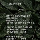 시창작&시낭송 이미지