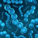 (주)바이옴 이미지