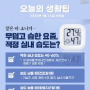 오늘의 생활 팁 - 여름철 습도 관리 이미지