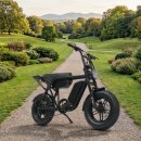 에스디아이 | 퀼리 엑스트론 미니 자토바이 후기 및 인기 이유 분석