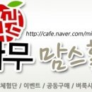 사과나무헤어