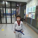 별나무태권도 이미지