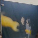 코코필름 | [서울 마포] 신촌이색데이트 “코코필름 홍대사진관” 물고기 사진 후기!