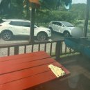 비단골관광농원 이미지