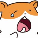 로던트클럽 강서마곡점 이미지