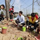 보성세탁 이미지