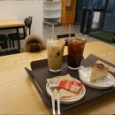 대구반려동물산업협동조합 함개하자냥 | [달서구 애견카페] 대구반려동물산업협동조합 함개하자냥