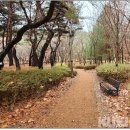 가오근린공원 이미지