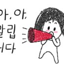 다인유통 이미지