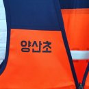 양산초등학교 | 초등학교 어린이 안전요원 학생조끼 납품 후기