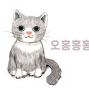 보배공인중개사사무소 이미지