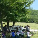 샘들목장 이미지