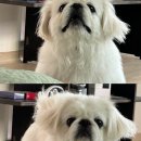 (주)가람디자인 | 일상｜건강하게만 자라다오