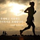열방작은도서관 이미지