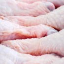 돈까수야 이미지