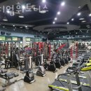 바디업휘트니스 이미지