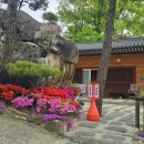 금강사 - 서구 북항로245번길 13-27 | 금강사