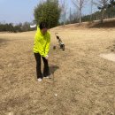 삼례골프랜드 이미지