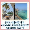 몰디브 신혼여행 <아나네아 마디바루 리조트> 후기 ｜아나네아 리조트 워터풀빌라, 파인다이닝 LUNA...