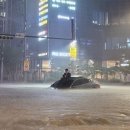 더일상마켓 이미지