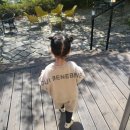 무등산양떼목장 이미지