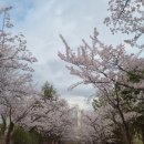 (주)보담