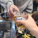 청춘민물장어 이미지