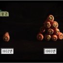 네츄럴핏 이미지