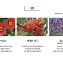 타임인셀덤