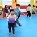 국가대표용인대박사태권도장 이미지