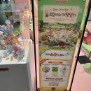 부산 실바니안 팝업스토어 주말 후기ㅣ럭키드로우, 이벤트