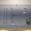 네일 웨일 이미지