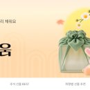 11 뉴스1