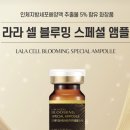 뷰티데이 - 제주시 | 뷰티데이