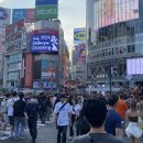 시부야 이미지
