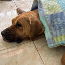 새힘주유소 이미지