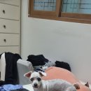 두리몽실