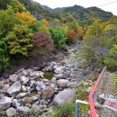 칠선계곡글램핑 이미지