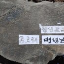 변성남 Daum카페