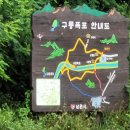 신기교 이미지