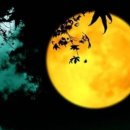 달맞이맨션 이미지