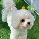 옐레드 하남미사점 이미지