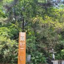 동네 마실가듯 살방살방 걷기 좋은 장산