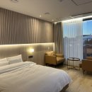 송호지 | 하운드호텔 대구혁신도시점 디럭스룸 내돈내산 후기