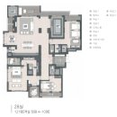 안토(Anto)