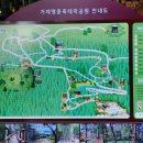 거제다찌 이미지
